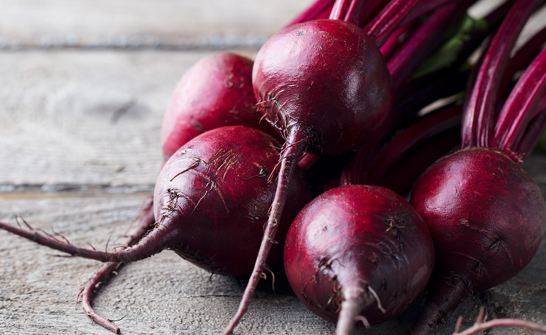 CULTURA DA BETERRABA